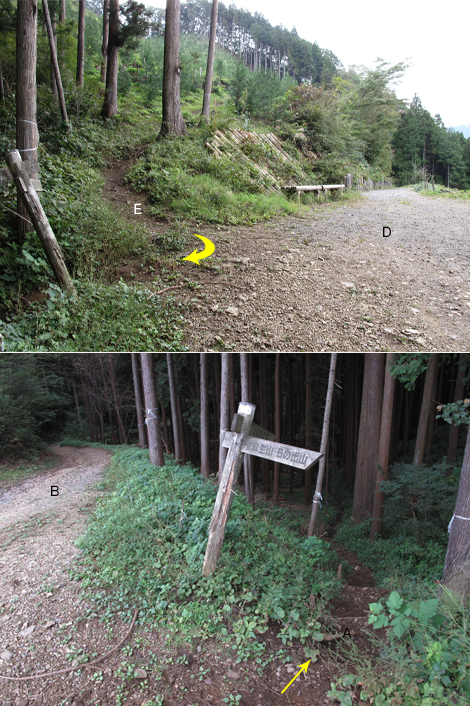 20161014hike (249)